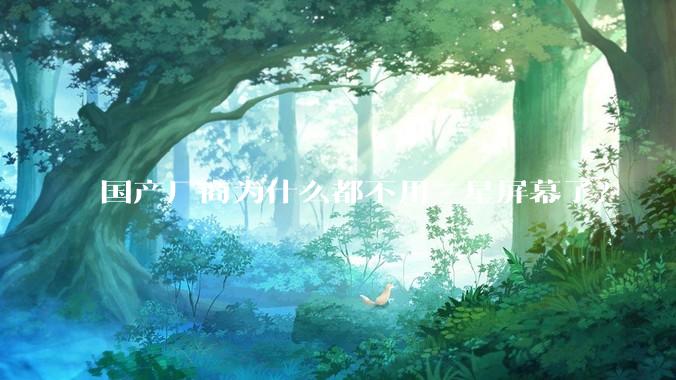 国产厂商为什么都不用三星屏幕了?