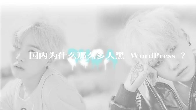 国内为什么那么多人黑 WordPress ?