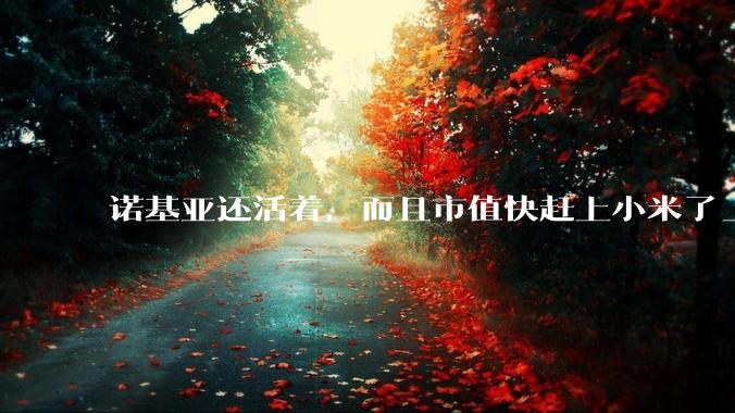 诺基亚还活着，而且市值快赶上小米了_全球_通信_模块