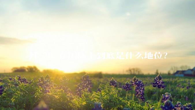 歼-20 在国际上到底是什么地位？