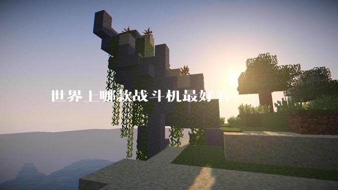 世界上哪款战斗机最好看？