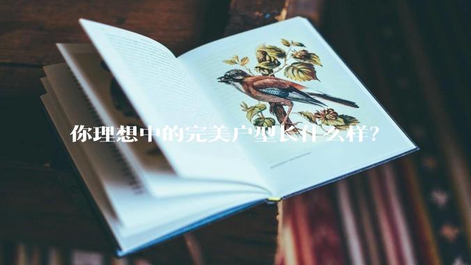 你理想中的完美户型长什么样?