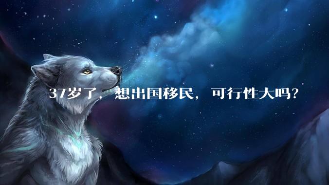37岁了,想出国移民,可行性大吗?