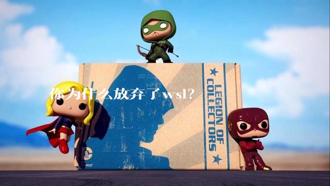 你为什么放弃了wsl?